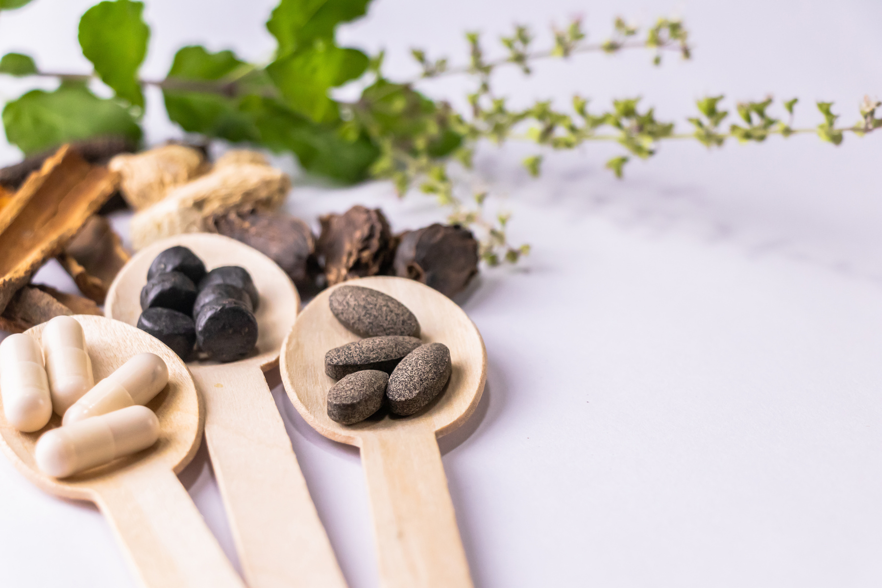 Ayurvedic Medicines in Wooden Spoon 